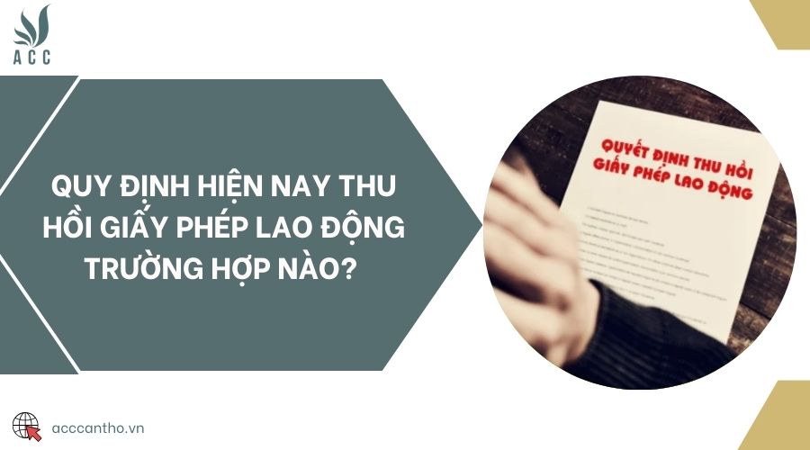 Quy định hiện nay thu hồi giấy phép fv88 link trường hợp nào? 