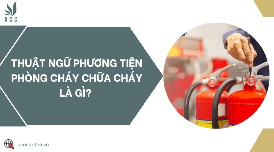 Thuật ngữ phương tiện fv88 đá gà trực tiếp là gì? 