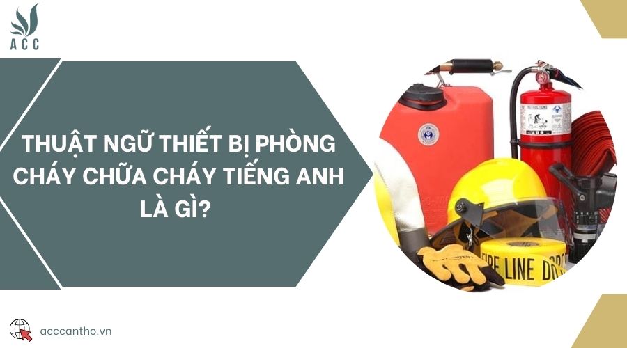 Thuật ngữ thiết bị fv88 đá gà trực tiếp tiếng Anh là gì? 
