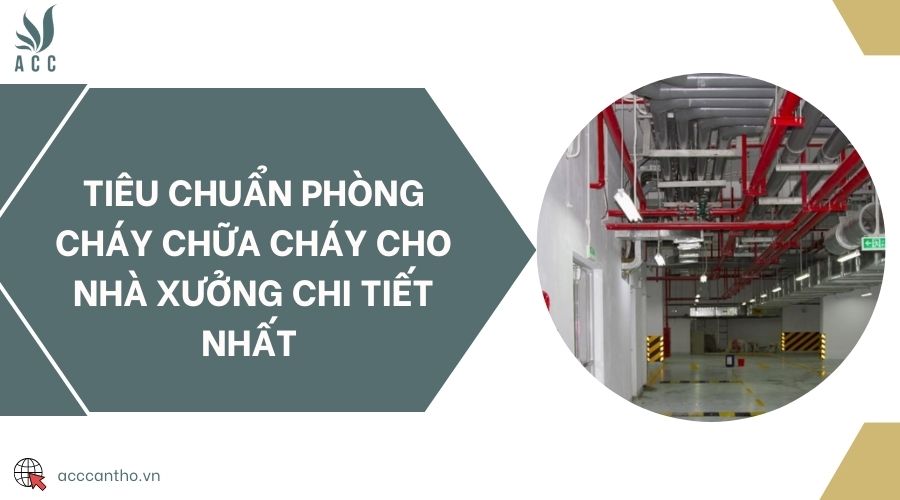 Tiêu chuẩn fv88 đá gà trực tiếp cho nhà xưởng chi tiết nhất 