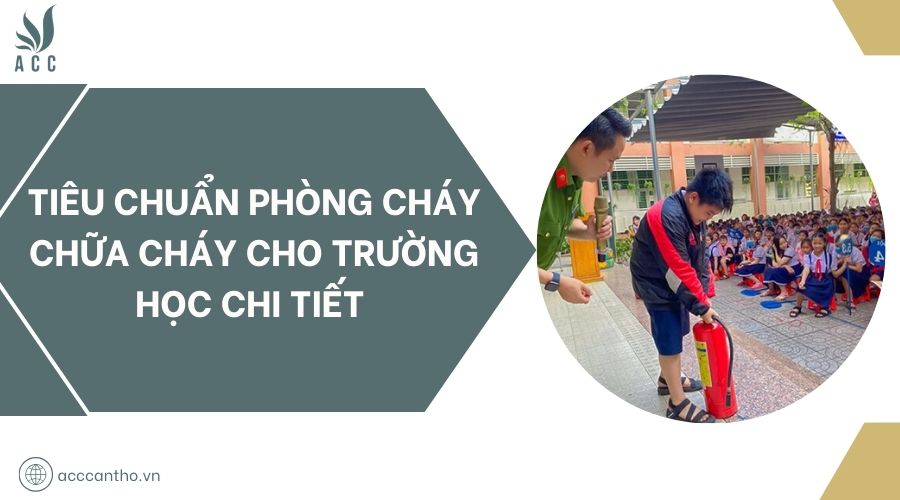 Tiêu chuẩn fv88 đá gà trực tiếp cho trường học chi tiết 