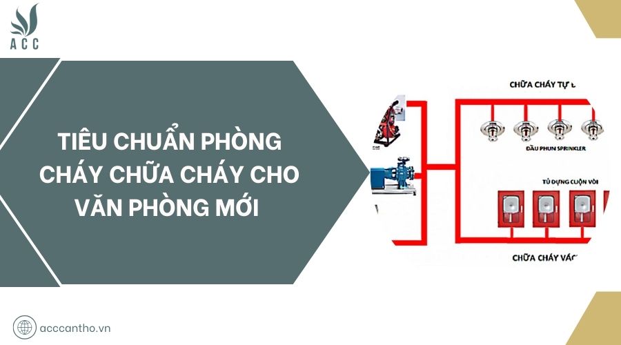Tiêu chuẩn fv88 đá gà trực tiếp cho văn phòng mới 