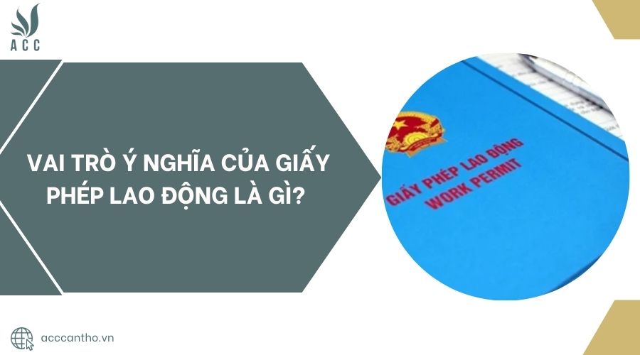 Vai trò ý nghĩa của giấy phép fv88 link là gì? 