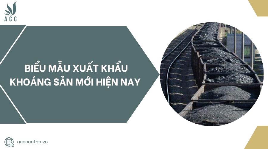 Biểu mẫu xuất khẩu khoáng sản mới hiện nay 