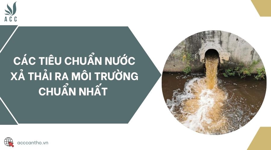 Các tiêu chuẩn nước xả thải ra fv88 nhà cái chuẩn nhất 