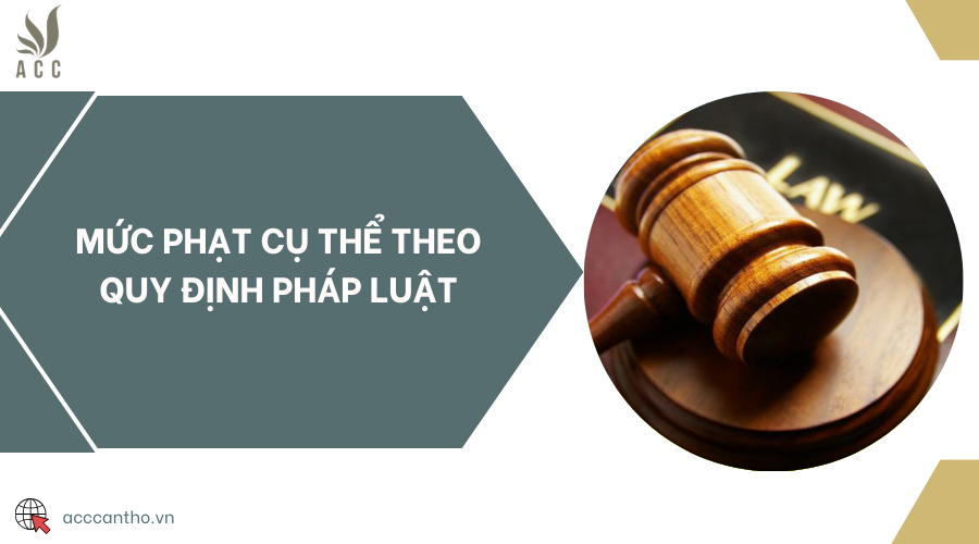 Mức phạt cụ thể theo quy định pháp luật
