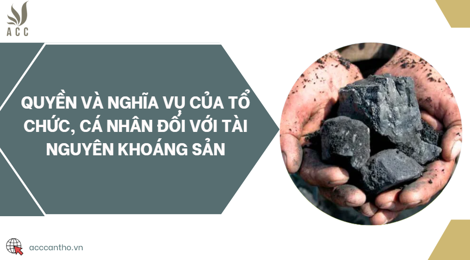 Quyền và nghĩa vụ của tổ chức, cá nhân đối với tài nguyên khoáng sản