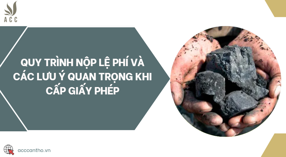 Quy trình nộp lệ phí và các lưu ý quan trọng khi cấp giấy phép
