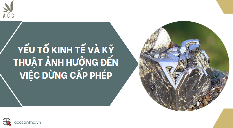 Yếu tố kinh tế và kỹ thuật ảnh hưởng đến việc dừng cấp phép