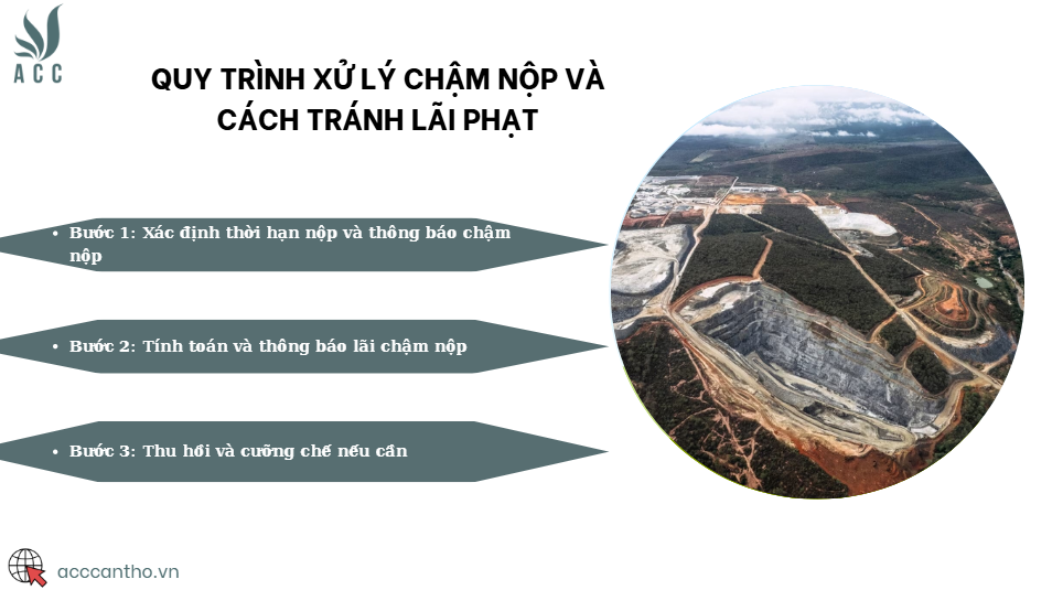 Quy trình xử lý chậm nộp và cách tránh lãi phạt