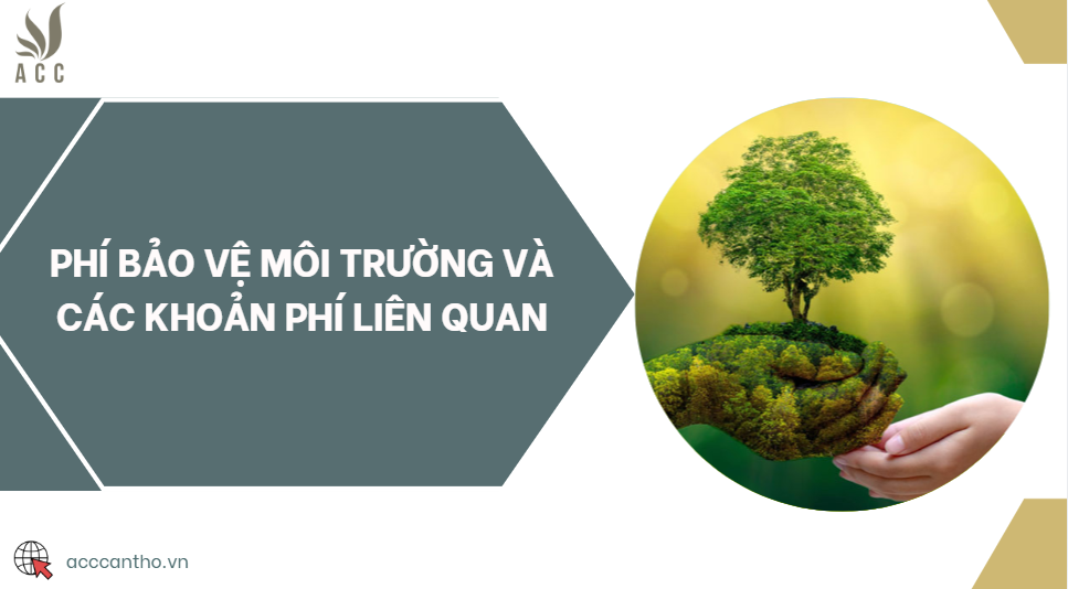 Phí bảo vệ fv88 nhà cái và các khoản phí liên quan