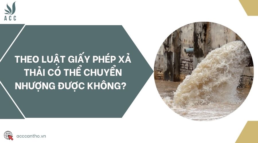 Theo luật giấy phép xả thải có thể chuyển nhượng được không? 