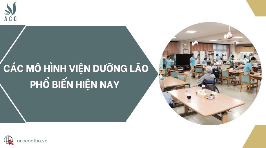 Các mô hình viện dưỡng lão phổ biến hiện nay 