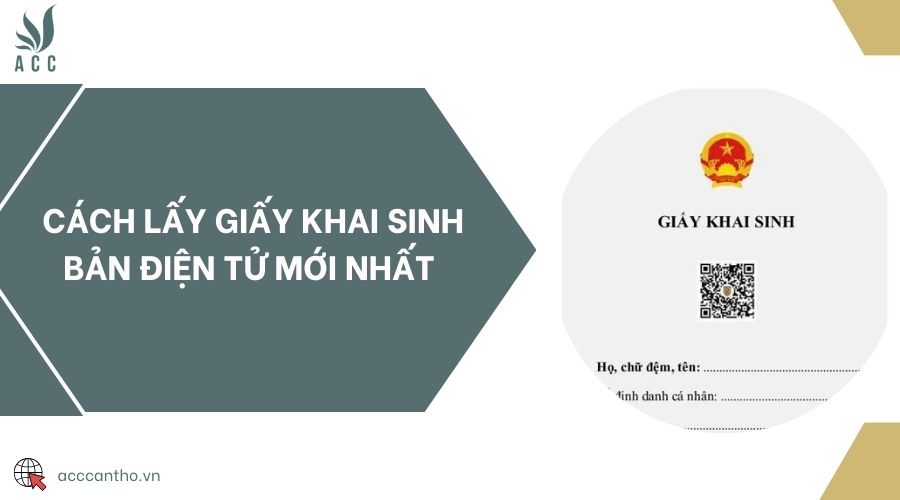 Cách lấy giấy khai sinh bản điện tử mới nhất 