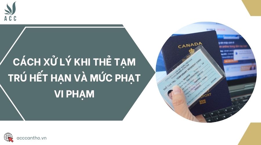 Cách xử lý khi thẻ tạm trú hết hạn và mức phạt vi phạm