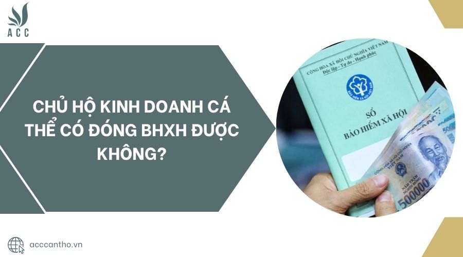 Chủ hộ fv888 cá thể có đóng bhxh được không?
