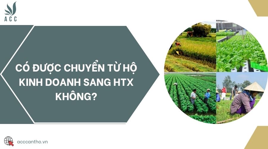 Có được chuyển từ hộ fv888 sang HTX không?
