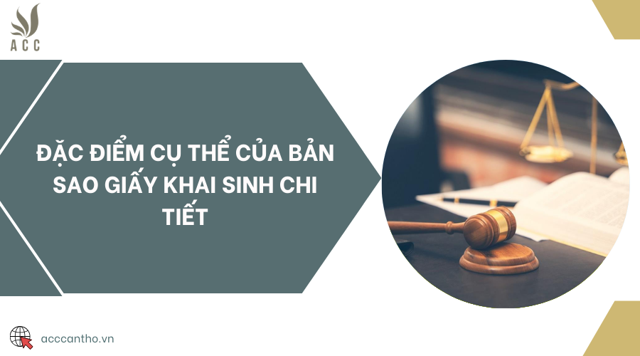 Đặc điểm cụ thể của bản sao giấy khai sinh chi tiết