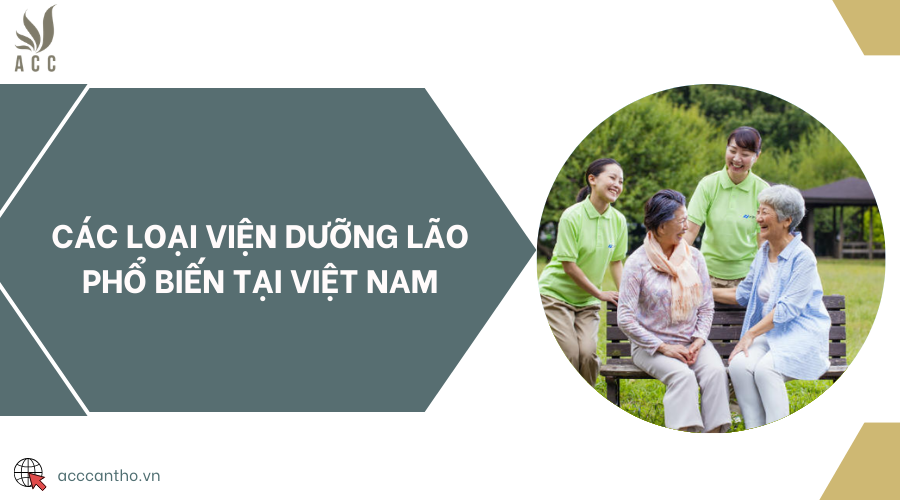 Các loại viện dưỡng lão phổ biến tại Việt Nam