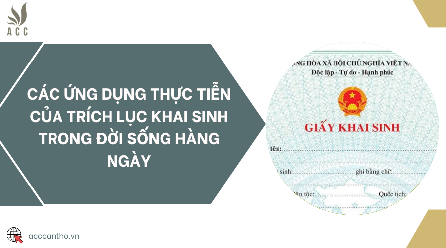 Các ứng dụng thực tiễn của trích lục khai sinh trong đời sống hàng ngày