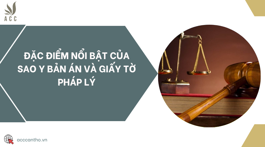 Đặc điểm nổi bật của sao y bản án và giấy tờ fv88 nhà cái