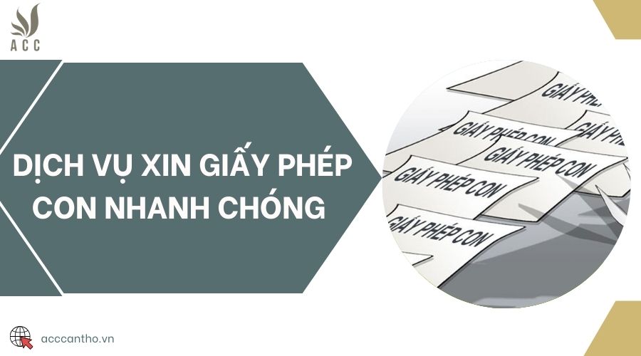 Dịch vụ xin giấy phép con nhanh chóng 