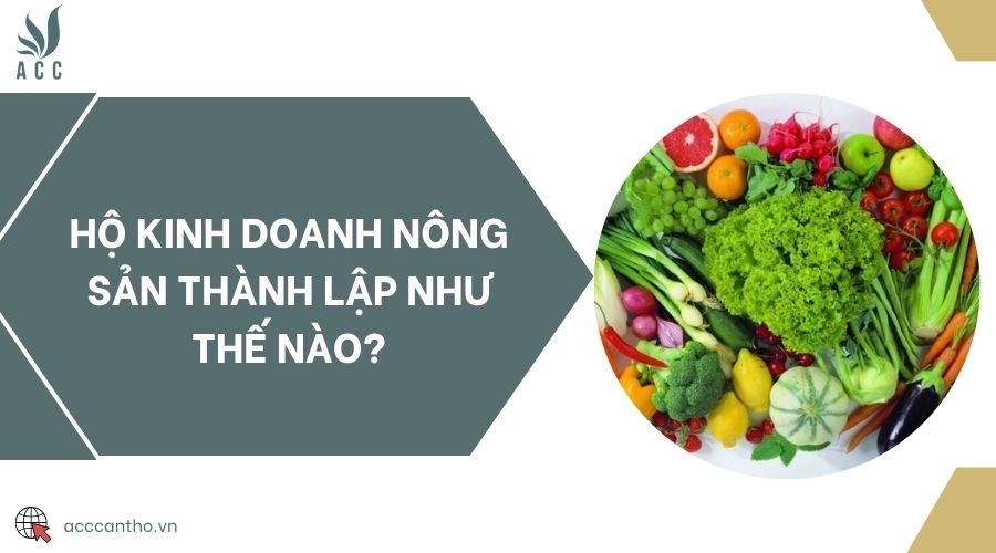 Hộ fv888 nông sản thành lập như thế nào?