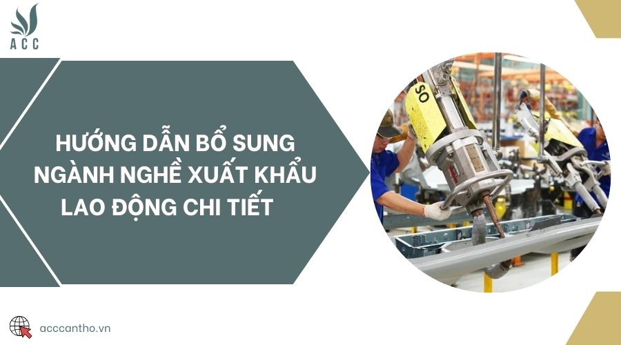 Hướng dẫn bổ sung ngành nghề xuất khẩu fv88 link chi tiết 