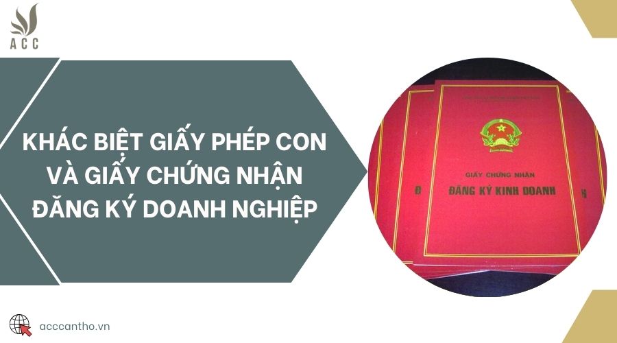 Khác biệt giấy phép con và giấy chứng nhận đăng ký doanh nghiệp