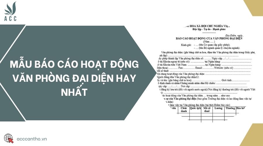 Mẫu báo cáo hoạt động văn phòng đại diện hay nhất