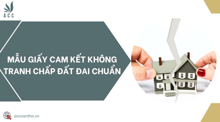 Mẫu giấy cam kết không tranh chấp đất đai chuẩn 
