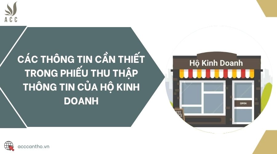 Các thông tin cần thiết trong phiếu thu thập thông tin của hộ fv888