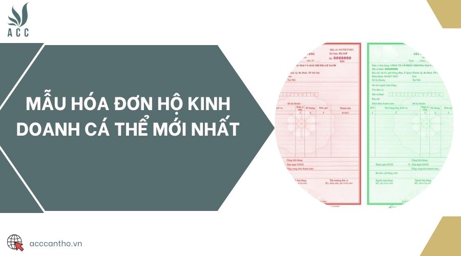 Mẫu hóa đơn hộ fv888 cá thể mới nhất