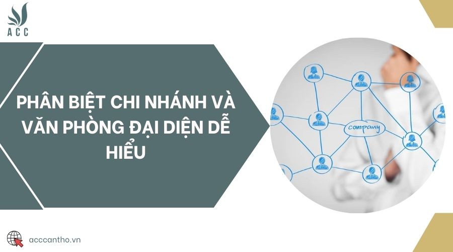 Phân biệt chi nhánh và văn phòng đại diện dễ hiểu