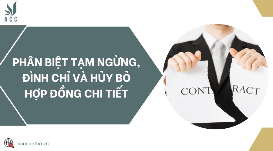 Phân biệt tạm ngừng, đình chỉ và hủy bỏ hợp đồng chi tiết 