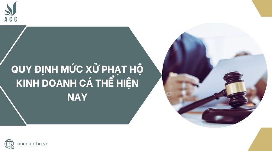 Quy định mức xử phạt hộ fv888 cá thể hiện nay