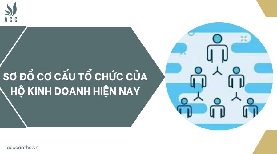 Sơ đồ cơ cấu tổ chức của hộ fv888 hiện nay