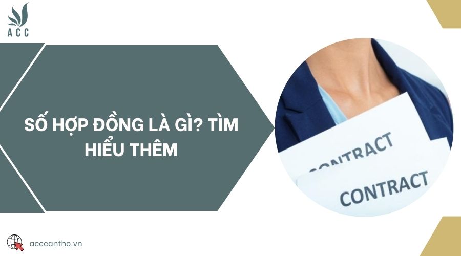 Số hợp đồng là gì? fv88 vn