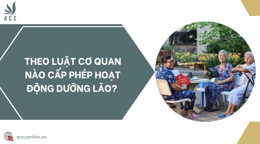 Theo luật cơ quan nào cấp phép hoạt động dưỡng lão?
