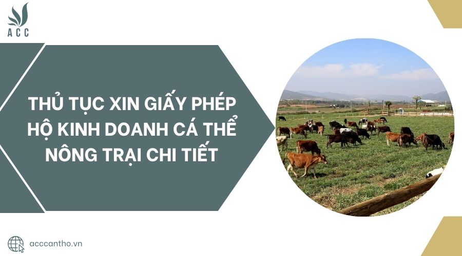 Thủ tục xin giấy phép hộ fv888 cá thể nông trại chi tiết