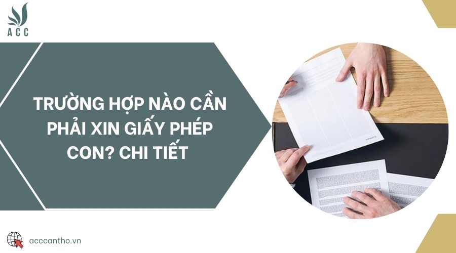 Trường hợp nào cần phải xin giấy phép con? Chi tiết 