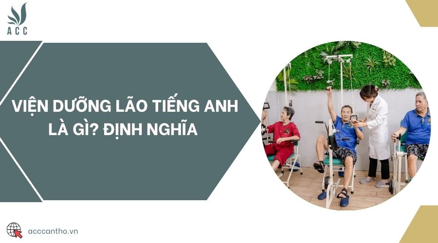 Viện dưỡng lão tiếng Anh là gì? Định nghĩa 