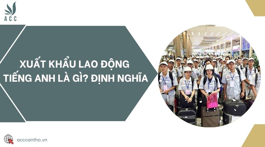 Xuất khẩu fv88 link tiếng Anh là gì? Định nghĩa