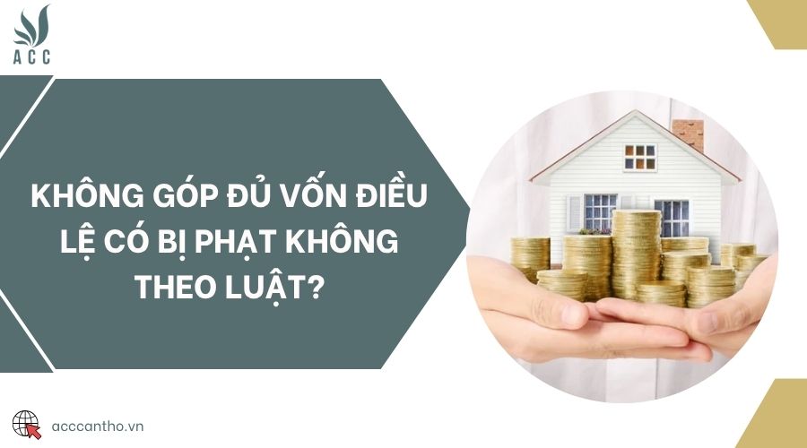 Không góp đủ vốn điều lệ có bị phạt không theo luật?