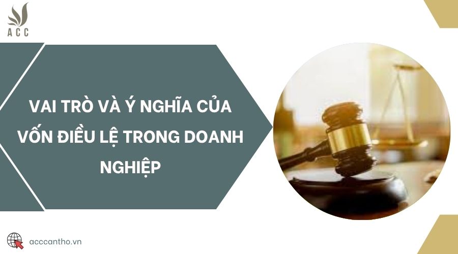 Vai trò và ý nghĩa của vốn điều lệ trong doanh nghiệp