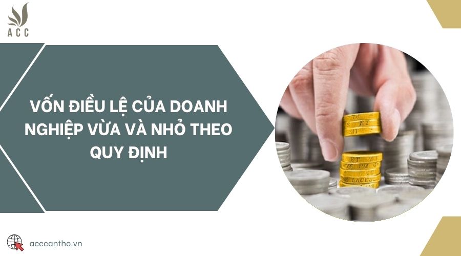 Vốn điều lệ của doanh nghiệp vừa và nhỏ theo quy định