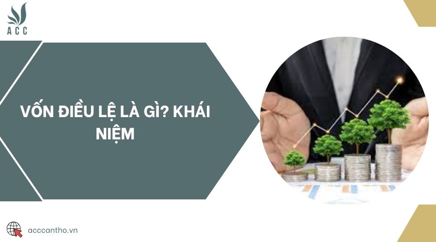 Vốn điều lệ là gì? Khái niệm
