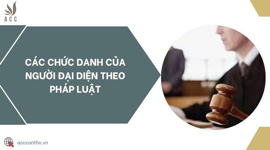 Các chức danh của người đại diện theo pháp luật
