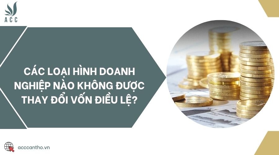 Các loại hình doanh nghiệp nào không được thay đổi vốn điều lệ?