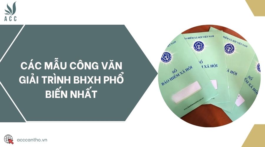 Các mẫu công văn giải trình BHXH phổ biến nhất